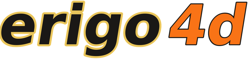 erigo4d logo